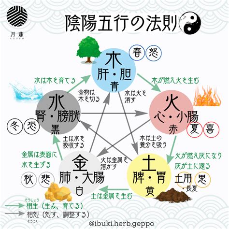 五行強弱|八字基礎教學,陰陽,五行,干支,廿四節氣（20分鐘了解）